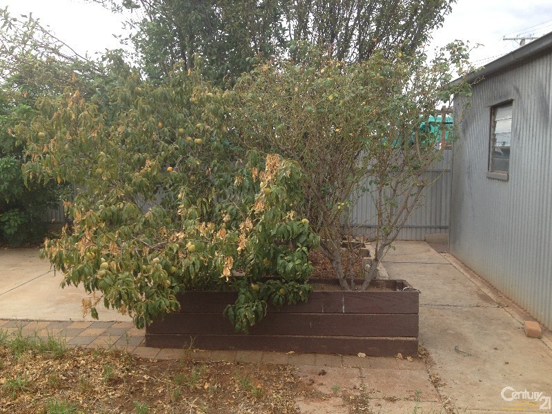 20 McRitchie Cres, Whyalla Stuart SA 5608