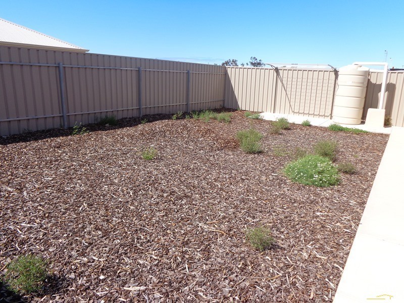 12 Warnes Ave, Whyalla Jenkins SA 5609