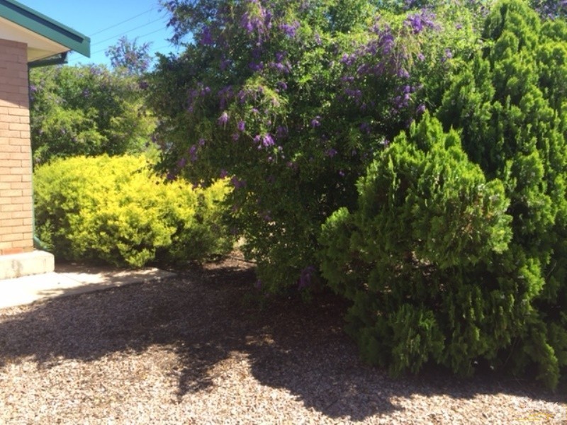 12 Smoker Street, Whyalla Norrie SA 5608