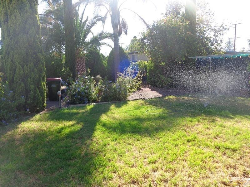 56 Goodman Street, Whyalla SA 5600
