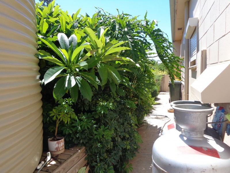 11 Jeffries Street, Whyalla Playford SA 5600