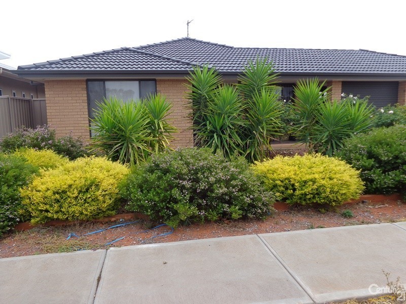 356 Jenkins Ave, Whyalla Jenkins SA 5609