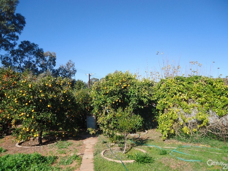 24 McIntosh Street, Whyalla Playford SA 5600
