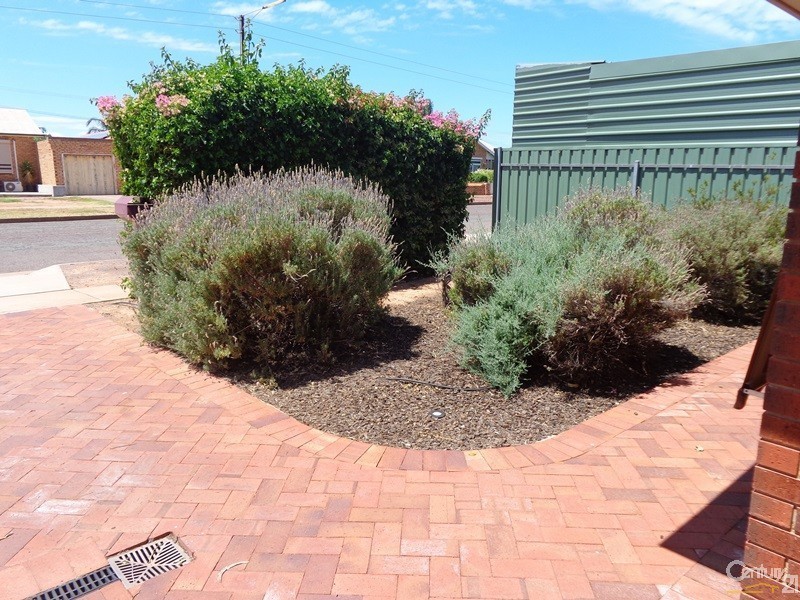 51 Newton Street, Whyalla SA 5600