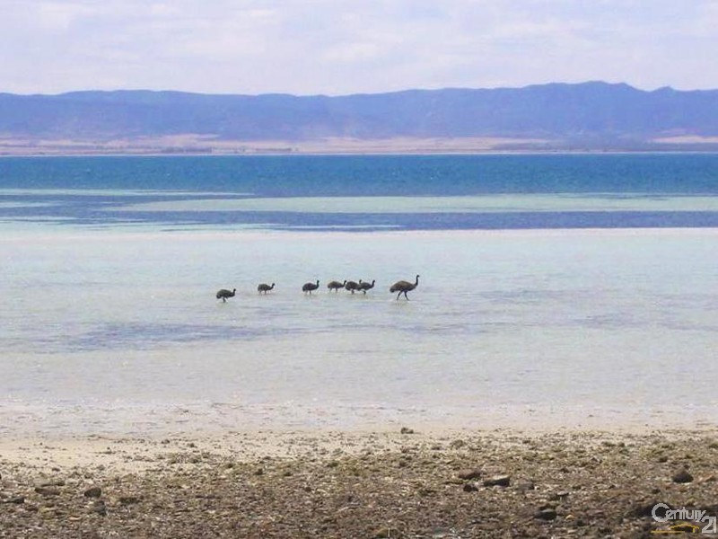 21 Quandong Drive Douglas Point South, Whyalla SA 5600