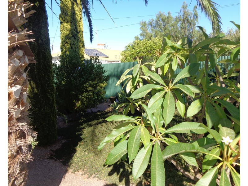 56 Goodman Street, Whyalla SA 5600
