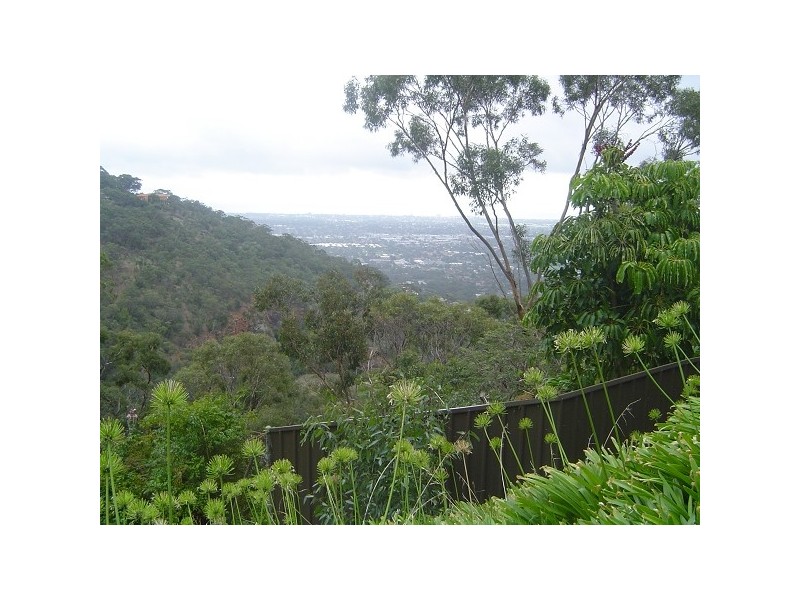 11 CENTRE WAY, Belair SA 5052