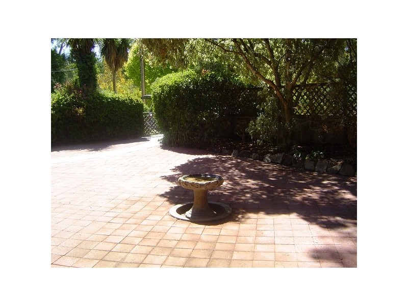 8 Corella Avenue, Glenalta SA 5052