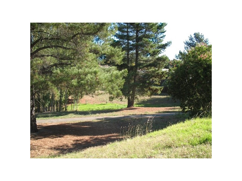 Lot 1 Monterey Pine Drive, Aberfoyle Park SA 5159