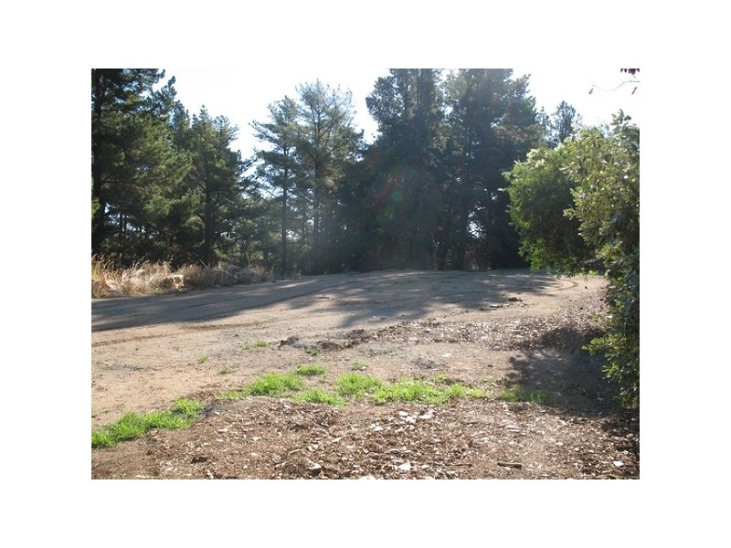 Lot 1 Monterey Pine Drive, Aberfoyle Park SA 5159