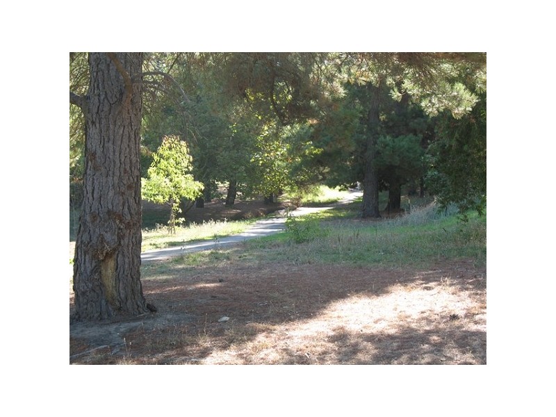 Lot 1 Monterey Pine Drive, Aberfoyle Park SA 5159