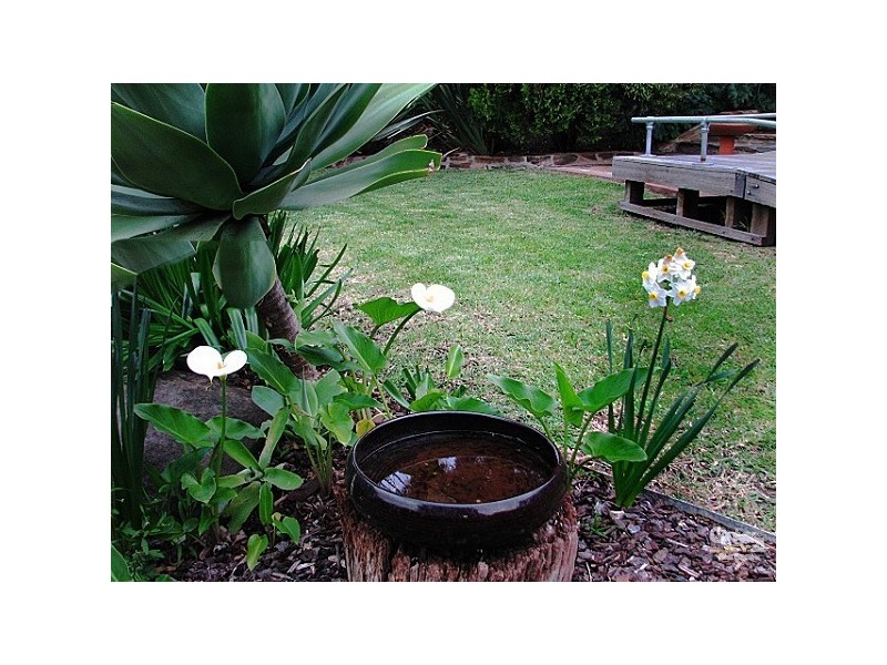 1 Landsdowne Avenue, Belair SA 5052