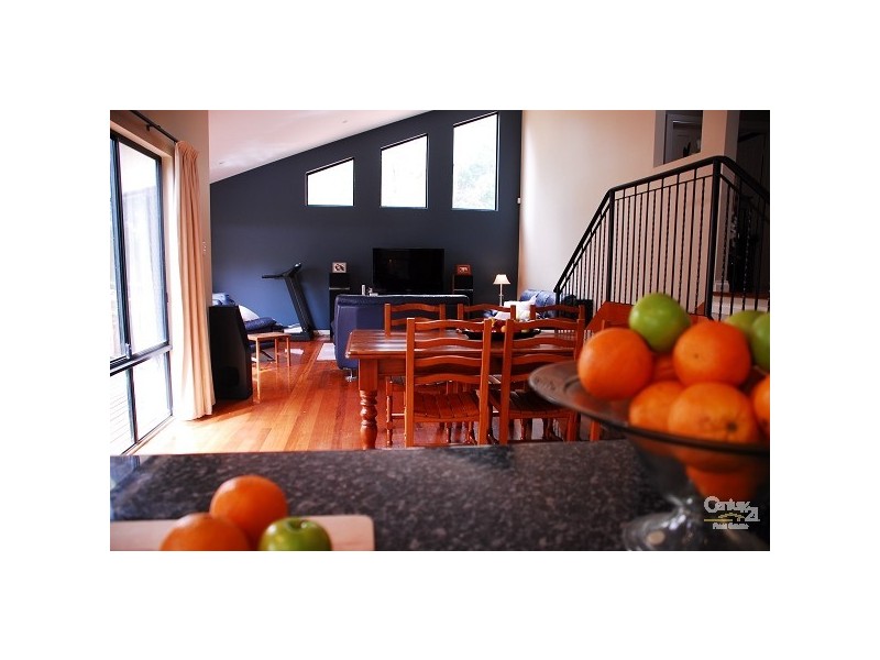 19 Swallow Drive, Flagstaff Hill SA 5159