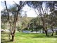 Lot 96 Neate Avenue, Belair SA 5052