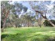 Lot 96 Neate Avenue, Belair SA 5052