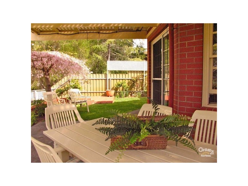 23 Light Road, Coromandel Valley SA 5051