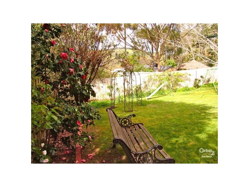 23 Light Road, Coromandel Valley SA 5051