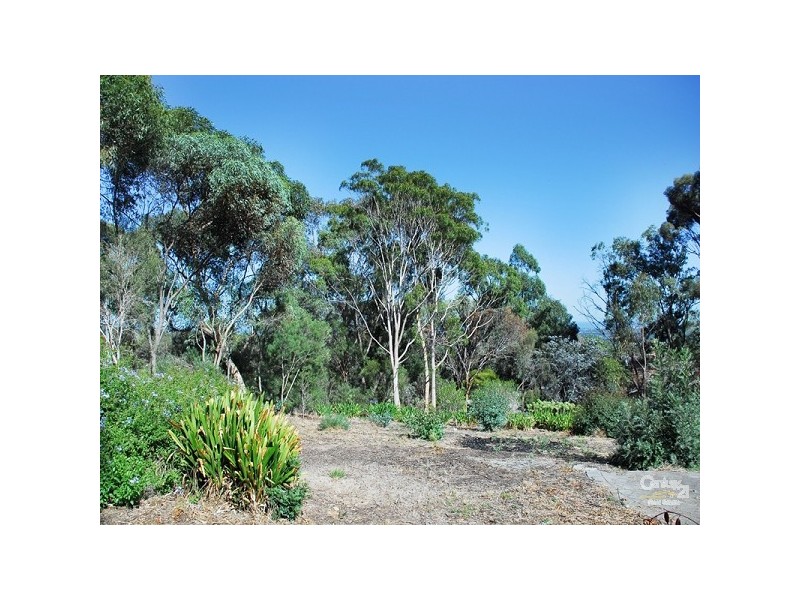 Bellevue Heights SA 5050