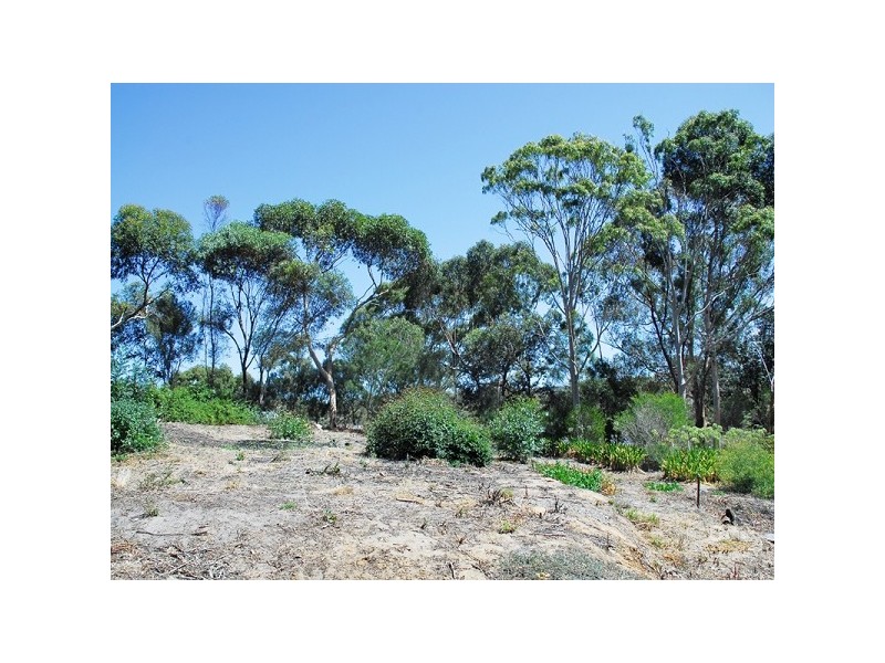 Bellevue Heights SA 5050