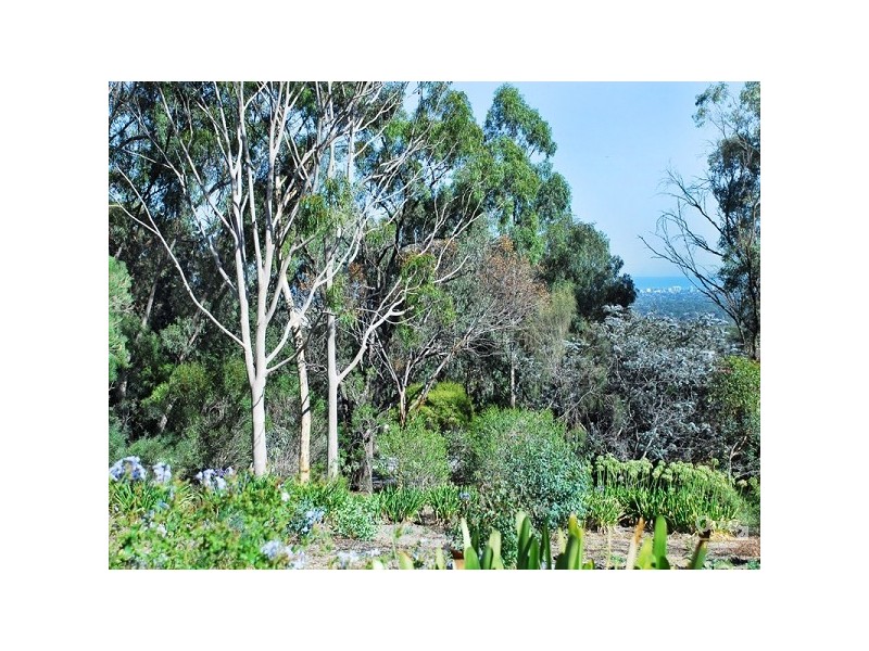 Bellevue Heights SA 5050