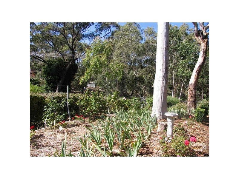 Hawthorndene SA 5051