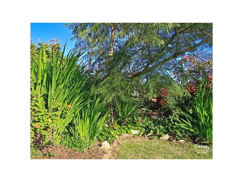 2 Torquay Road, Sturt SA 5047