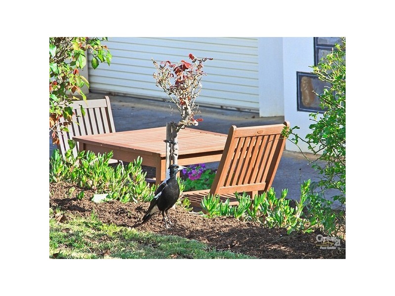 Coromandel Valley SA 5051