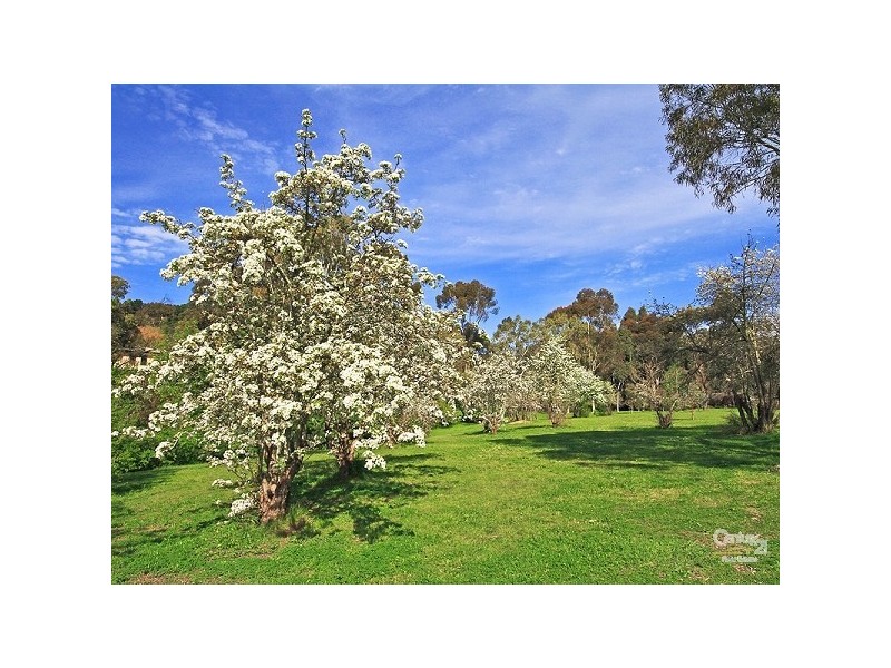 Coromandel Valley SA 5051