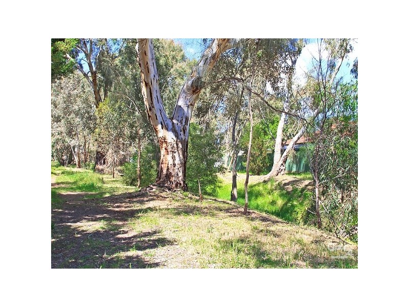 55A Collins Parade, Hackham SA 5163