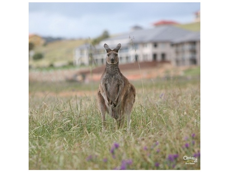 Lot 52 Birkdale Street, Normanville SA 5204
