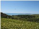 * Myponga Beach Road, Myponga Beach SA 5202