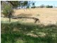 Lot 6 Pyne Hill Road, Wattle Flat SA 5203
