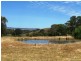 Lot 6 Pyne Hill Road, Wattle Flat SA 5203
