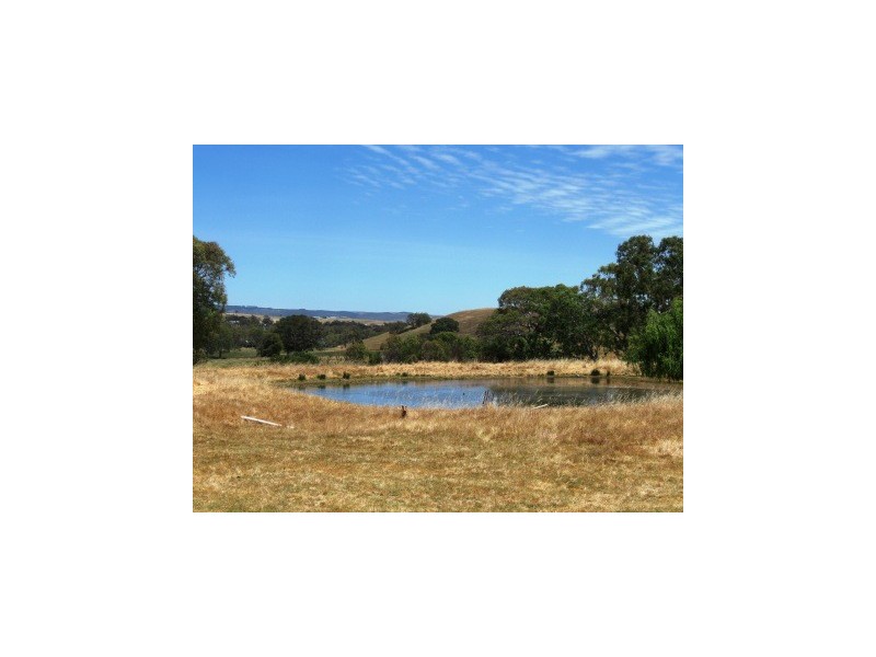 Lot 6 Pyne Hill Road, Wattle Flat SA 5203