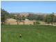 Lot 6 Pyne Hill Road, Wattle Flat SA 5203