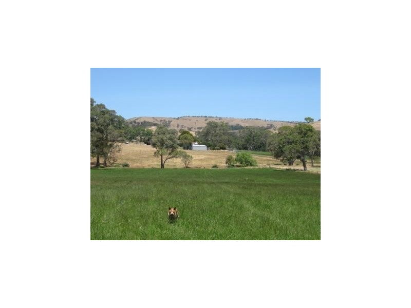 Lot 6 Pyne Hill Road, Wattle Flat SA 5203