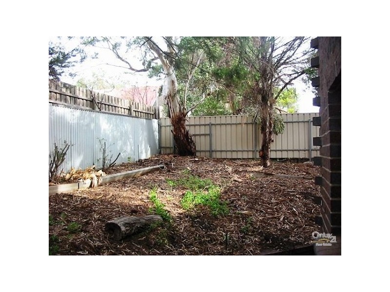 41 Elizabeth Crescent, Carrickalinga SA 5204