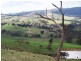 Lot 38 Pyne Hill Road, Wattle Flat SA 5203