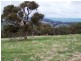 Lot 38 Pyne Hill Road, Wattle Flat SA 5203