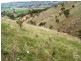Lot 38 Pyne Hill Road, Wattle Flat SA 5203