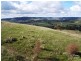 Lot 38 Pyne Hill Road, Wattle Flat SA 5203