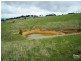 Lot 38 Pyne Hill Road, Wattle Flat SA 5203