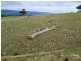 Lot 38 Pyne Hill Road, Wattle Flat SA 5203
