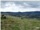 Lot 38 Pyne Hill Road, Wattle Flat SA 5203
