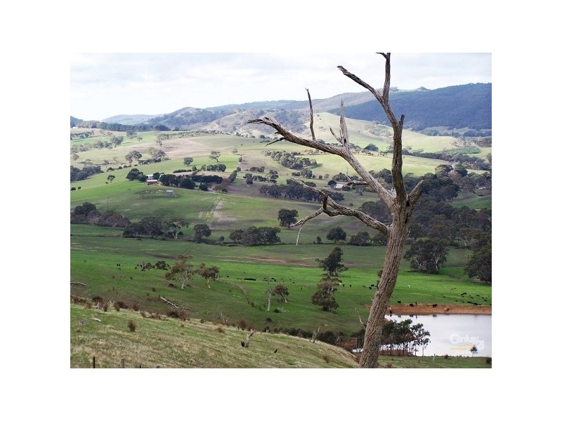 Lot 60 Pyne Hill Road, Wattle Flat SA 5203