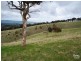 Lot 60 Pyne Hill Road, Wattle Flat SA 5203
