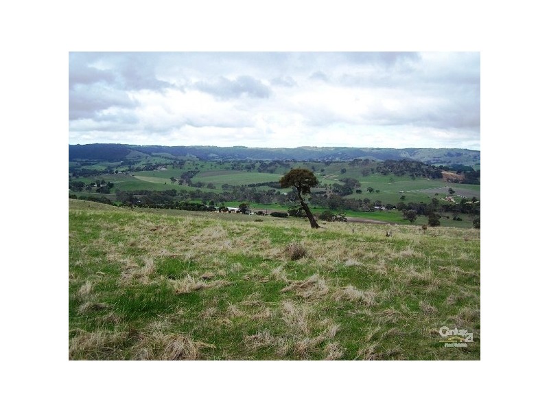 Lot 60 Pyne Hill Road, Wattle Flat SA 5203