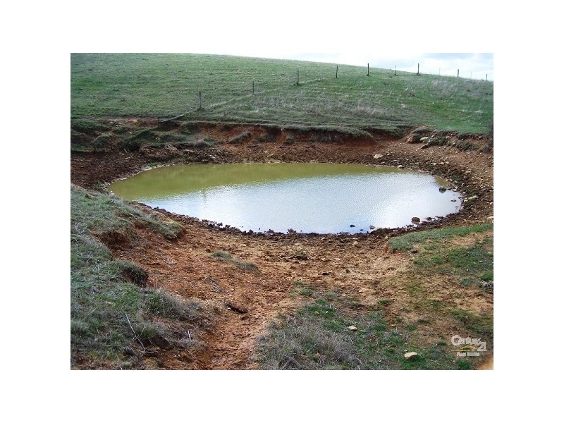 Lot 60 Pyne Hill Road, Wattle Flat SA 5203