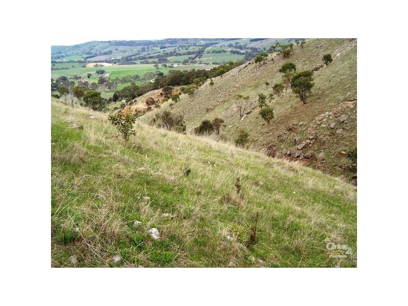 Lot 60 Pyne Hill Road, Wattle Flat SA 5203