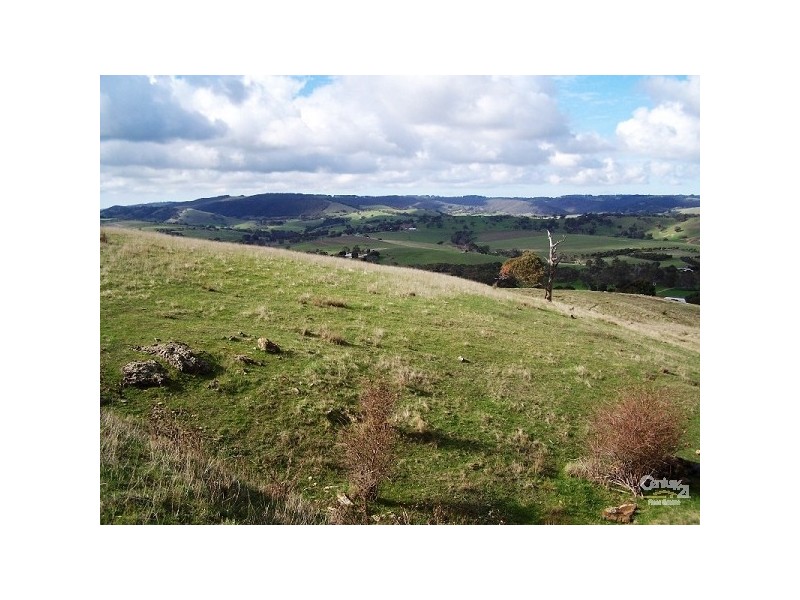 Lot 60 Pyne Hill Road, Wattle Flat SA 5203